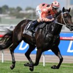 Black Caviar