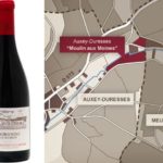 Clos-Du-Moulin-Aux-Moines-Bourgnone-Aux-Secrets-2008