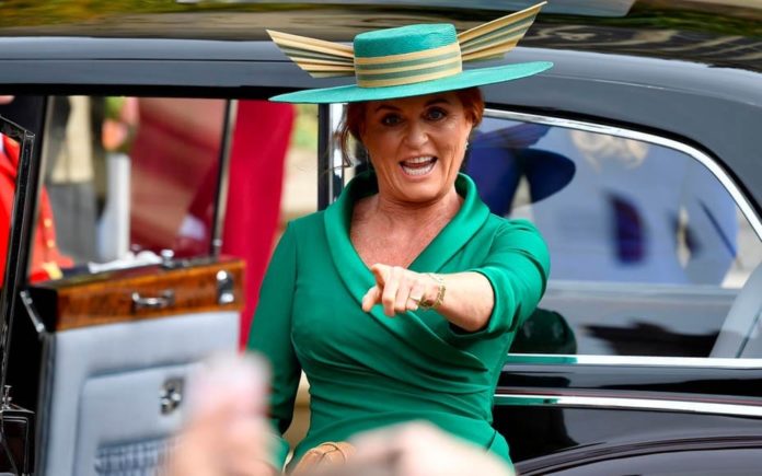 Moron of the Moment – The Duchess of York – As the Duchess of York is dragged into yet another scandal, we have to concur that it is time this silly woman was sent to Siberia. Gate Ventures, Ginger & Moss.