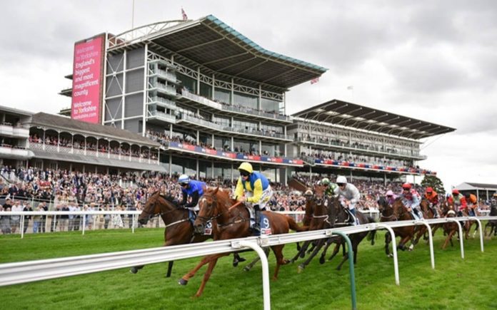 Runners & Riders – Horse racing tips for Thursday 22nd August – The Steeple Times’ horse racing tips with an analysis of the top tipsters and their selections for today’s racing at the Ebor Festival.