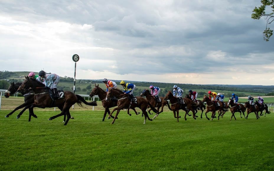 Runners & Riders – Friday 2nd August – The Steeple Times’ horse racing tips with an analysis of the top tipsters and their selections for Glorious Goodwood.
