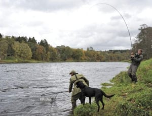 Gone fishing – The Taymount Fishings – £145,000 or £2,013 per year – Salmon and sea trout fishing for sale