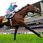 Royal Ascot best horses FI