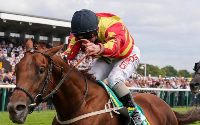 Runners & Riders – Horse racing tips for Saturday 14th September 2019 – The Steeple Times’ horse racing tips with an analysis of the top tipsters and their selections for today’s racing at the St Leger Festical at Doncaster.