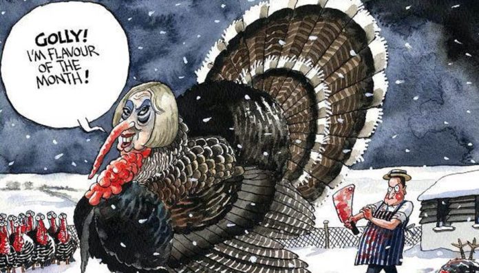 The May Turkey – Out-of-control Theresa May and People’s Vote – Matthew Steeples suggests Theresa May has lost control and urges readers to support a People’s Vote and the Put It To The People march.