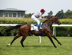 A trainer on Treve - Victoria Haigh