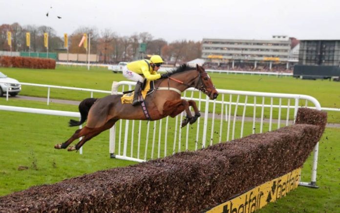 Runners & Riders – Horse racing tips for Friday 13th March 2020 – The Steeple Times’ horse racing tips with an analysis of the top tipsters and their selections for today’s Magners Gold Cup at Cheltenham.