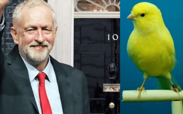 During Coronavirus ‘The Canary’ Claims Corbyn Still Hasn’t Croaked – That ‘The Canary’ is still lauding Jeremy Corbyn as “the best Prime Minister we never had” about sums up that sorry shower of a rag’s grasp on the current state of British politics.
