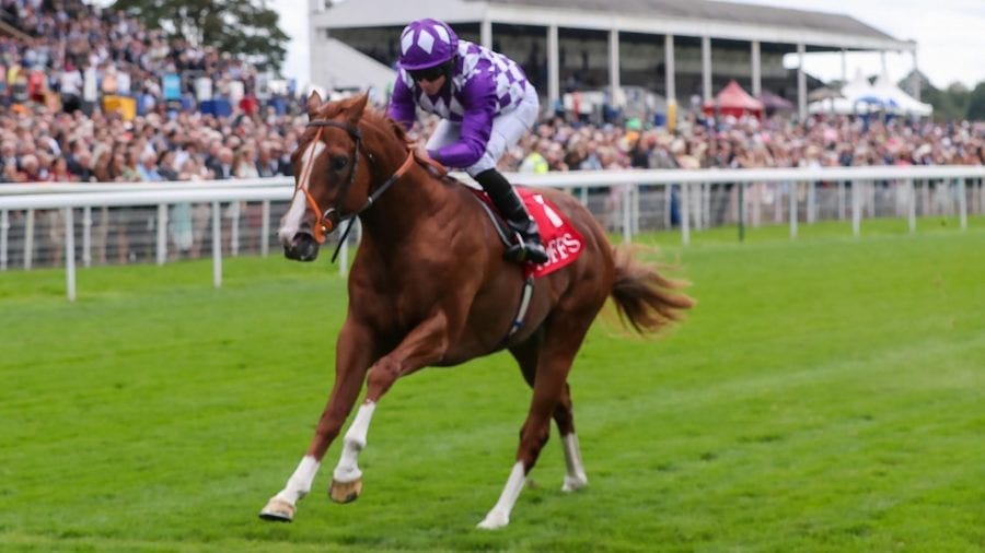 Runners & Riders – Horse racing tips for Saturday 6th June 2020 – The Steeple Times’ horse racing tips with an analysis of the top tipsters and their selections for the 2020 Quipco 2000 Guineas at Newmarket. Go for Pinatubo or Mums Tipple.