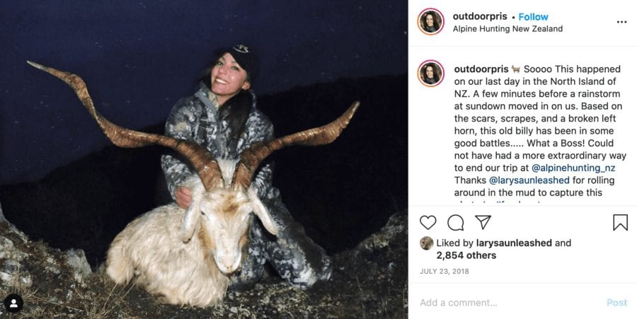 Monster of the Moment – Priscilla Magana – Bear butchering barbarian bitch and slutty sportswear seller Priscilla Magana should be banned from social media; this Trump supporting monster and bestie of Larysa Switlyk instead belongs in the nuthouse.