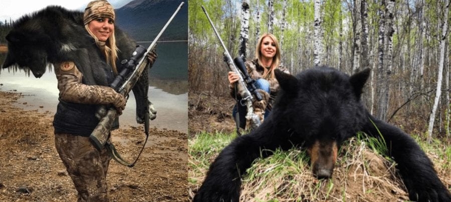 Hurrah for Hamish! Hamish the bear and Larysa Switlyk bear slayer – Just as Hamish, the first polar bear born in the UK in 25 years moves from Scotland to Yorkshire, our petition to ban the bear slayer Larysa Switlyk from Instagram shoots over 5,000 signatures.