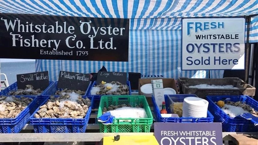 Oysters Ahoy! Reappearance in Belfast Lough for first time in 100 years – Native oysters reappear in Belfast Lough after 100 years of absence without any human intervention.