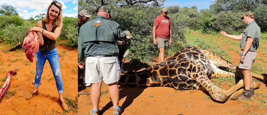 Monster of the Moment 2021 – Merelize van der Merwe – Giraffe slaying monster Merelize van der Merwe posed with its heart after being given the chance to slay one as a Valentine’s Day present.