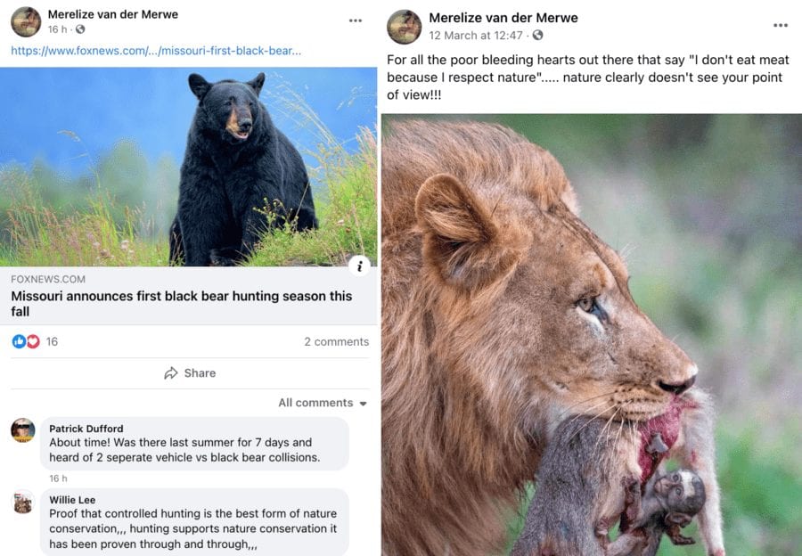 No ‘Scatterlings of Africa’ for Merelize van der Merwe in 2021 – Merelize van der Merwe’s video accompanied by Johnny Clegg’s ‘Scatterlings of Africa’ music of her slaughtering a majestic giraffe is removed from YouTube for copyright infringement.