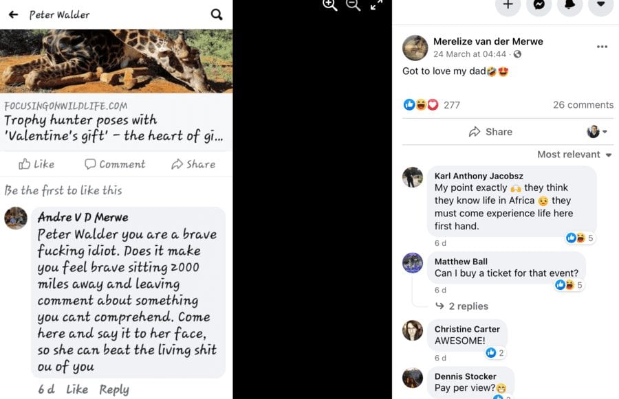 No ‘Scatterlings of Africa’ for Merelize van der Merwe in 2021 – Merelize van der Merwe’s video accompanied by Johnny Clegg’s ‘Scatterlings of Africa’ music of her slaughtering a majestic giraffe is removed from YouTube for copyright infringement.