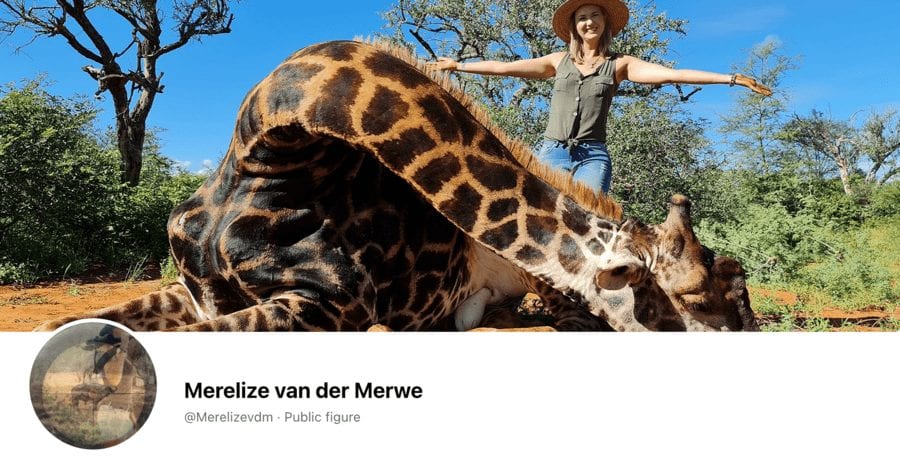 No ‘Scatterlings of Africa’ for Merelize van der Merwe in 2021 – Merelize van der Merwe’s video accompanied by Johnny Clegg’s ‘Scatterlings of Africa’ music of her slaughtering a majestic giraffe is removed from YouTube for copyright infringement.