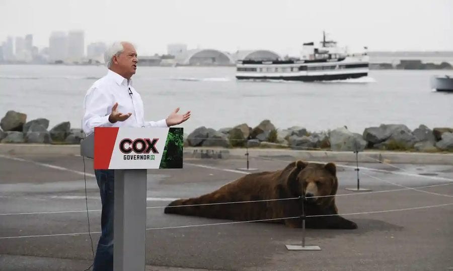 Moron of the Moment 2021 – John H. Cox – Bear abusing Republican wannabe Governor of California John H. Cox deserves to be sanctioned for his senseless stunt in San Diego.