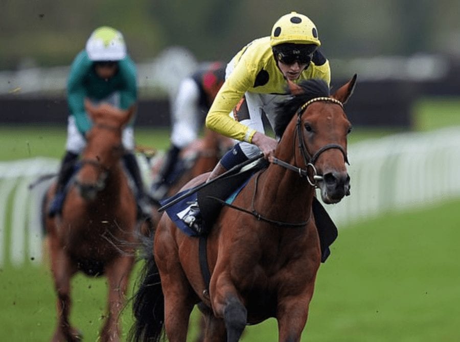 Third Realm Roger Varian Epsom Derby 2021