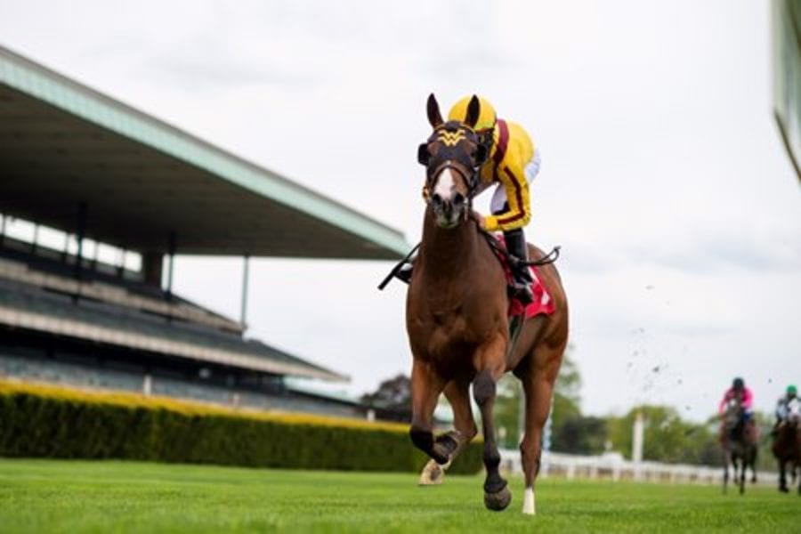 Twilight Gleaming Day 2, Royal Ascot 2021