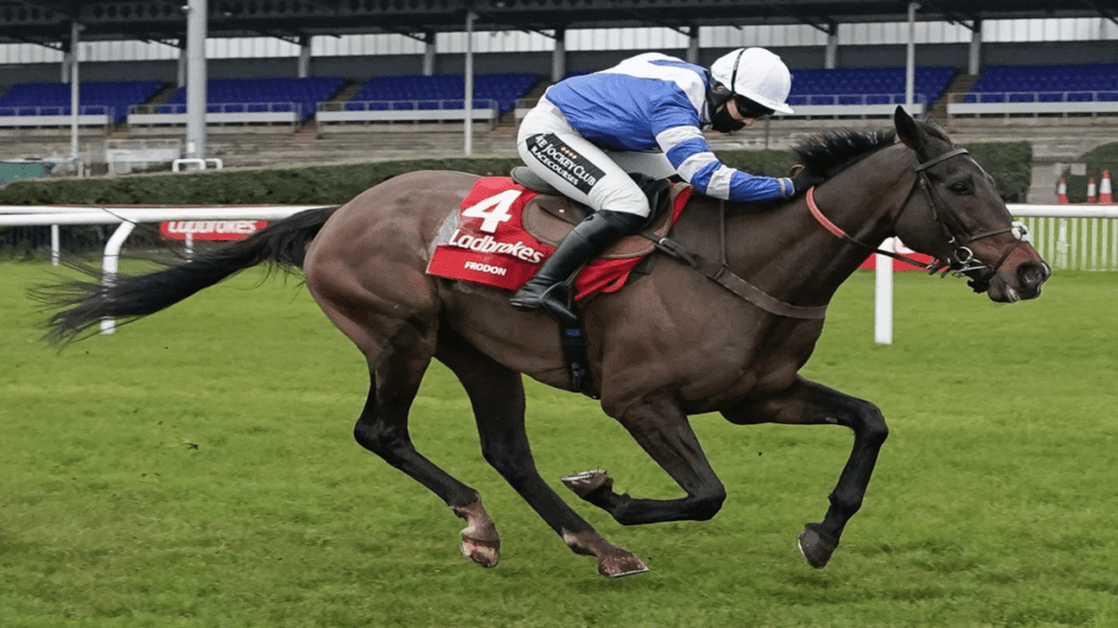 King George VI Chase Boxing Day Frodon Bryony Frost