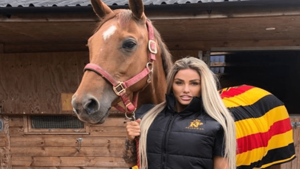 Restraining Poundland Pikey Pricey 2022 – Katie Price Faces Jail