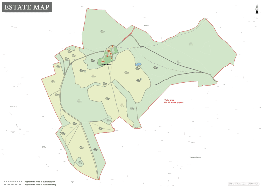 24 Estate Plan