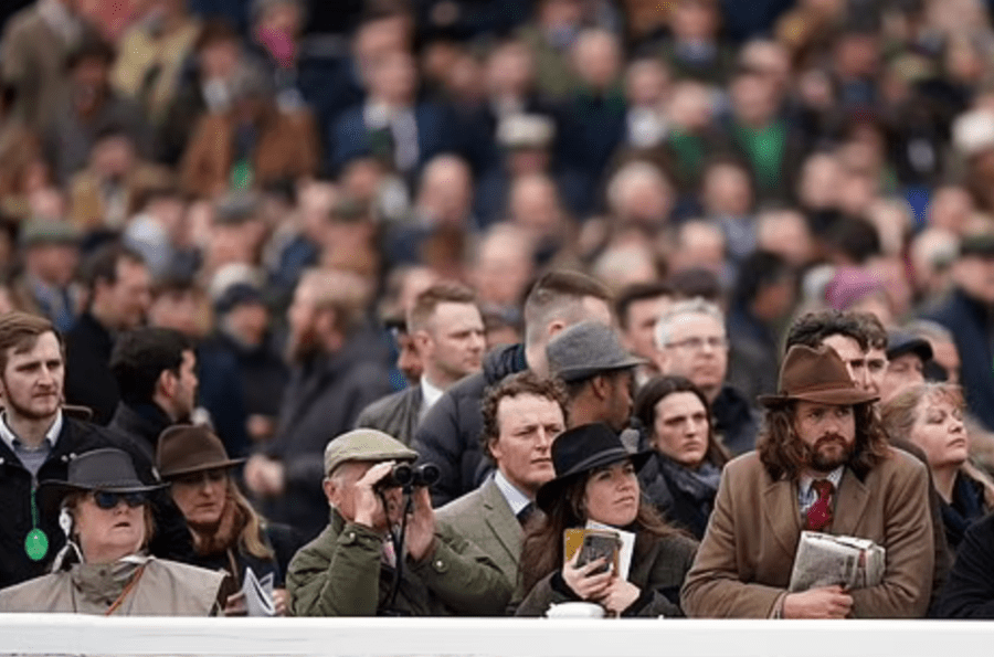 Cheltenham Festival 2023 attendance down